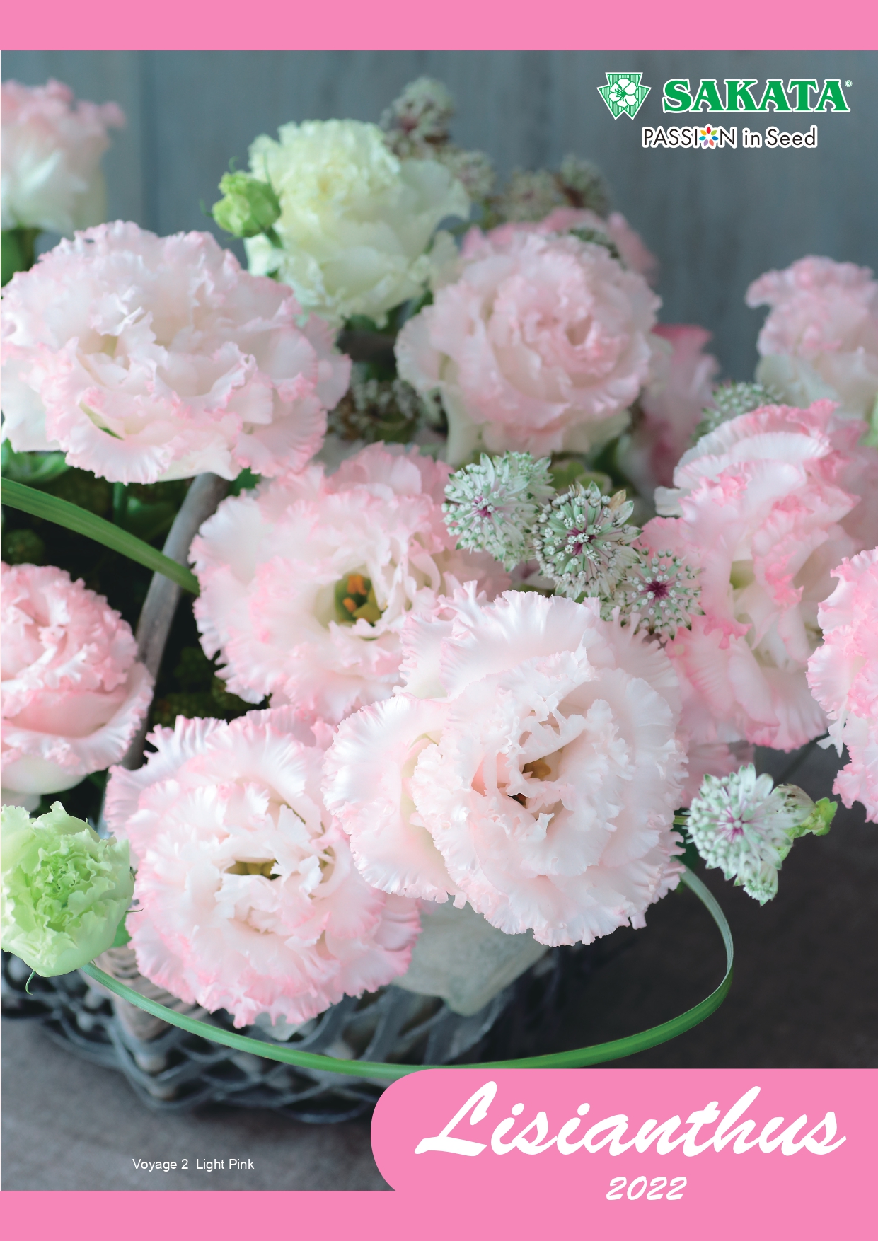 Lisianthus 2022