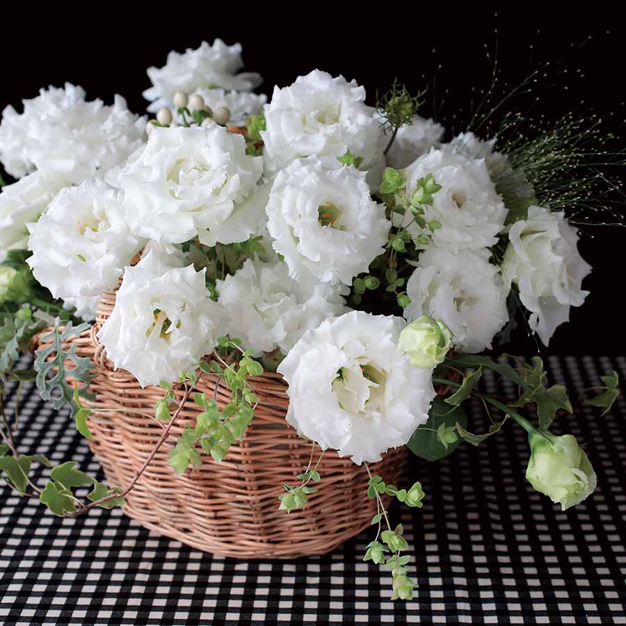 (Image)
White