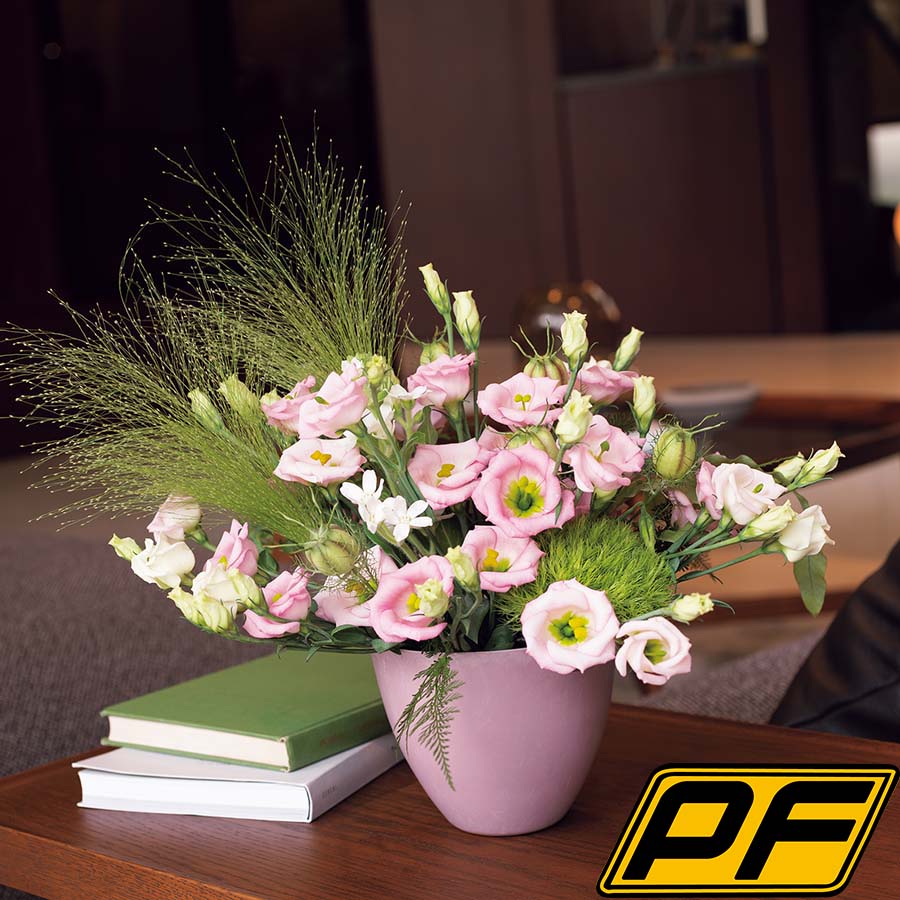 (Image)
Light Pink