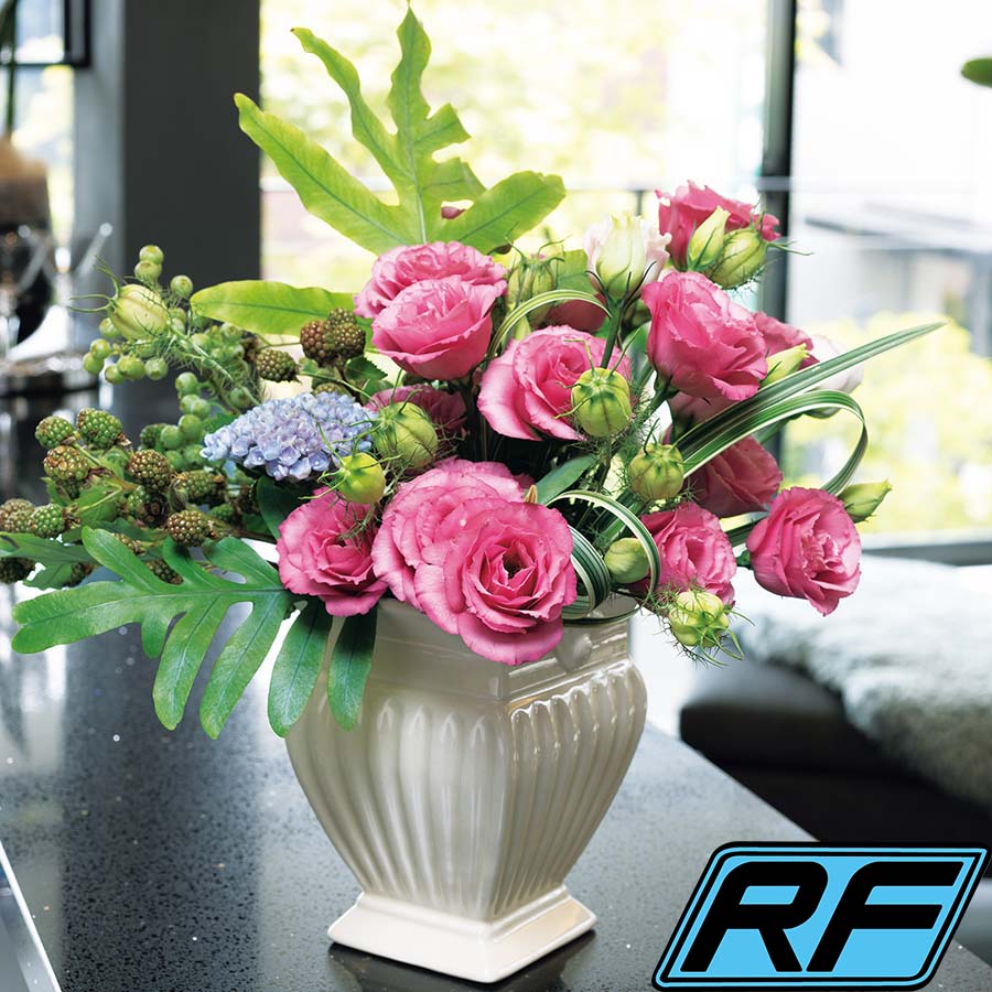 (Image)
Clear Pink RF