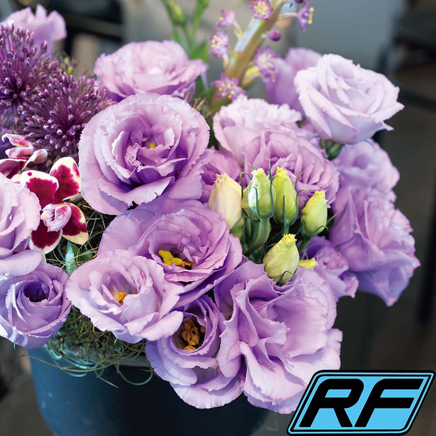 (Image)
Lavender Ver.3 RF