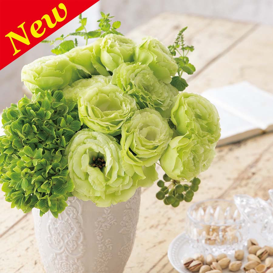 LISIANTHUS ROSANNE 2