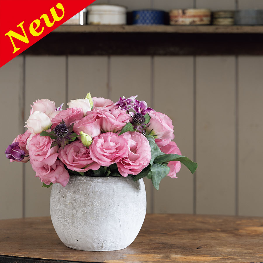 LISIANTHUS ROSITA 4