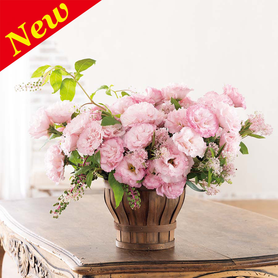 LISIANTHUS REINA 3