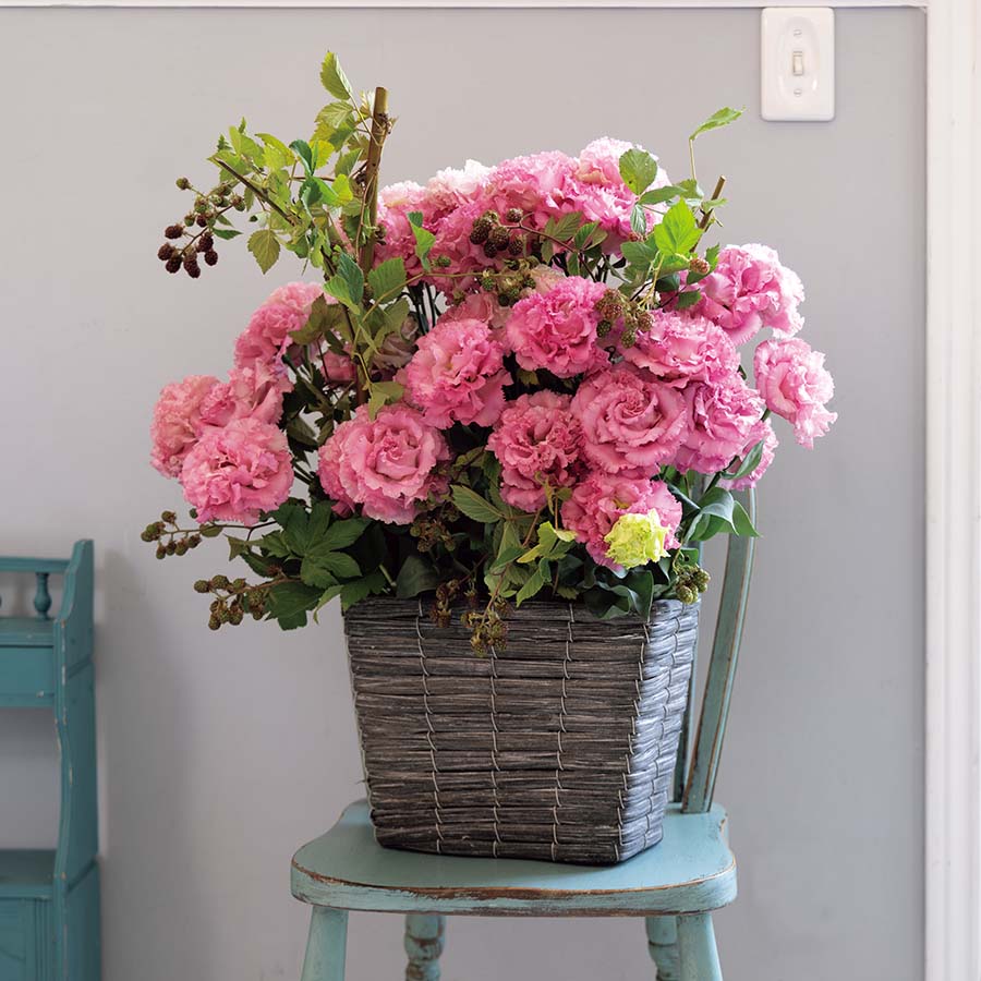 (Image)
Rose Pink