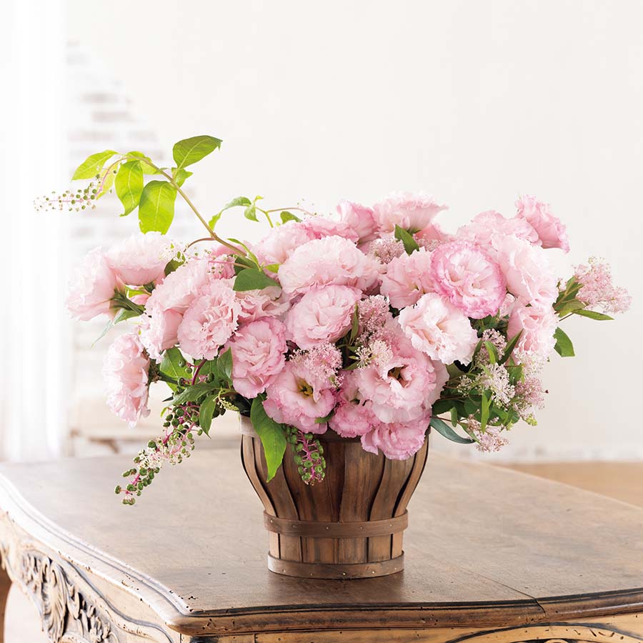 (Image)
Light Pink