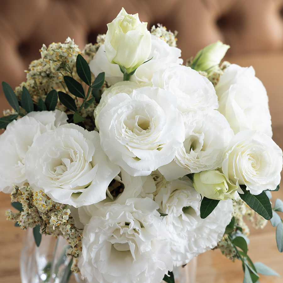 (Image)
Pure White Ver.2