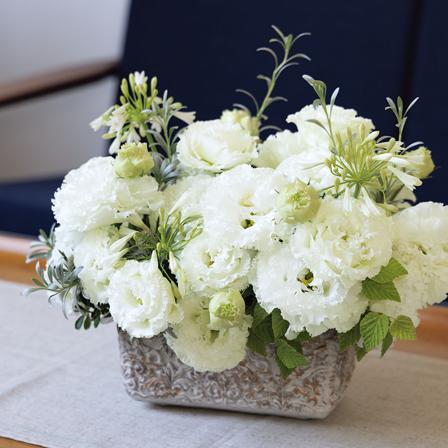 (Image)
Pure White